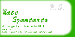 mate szamtarto business card